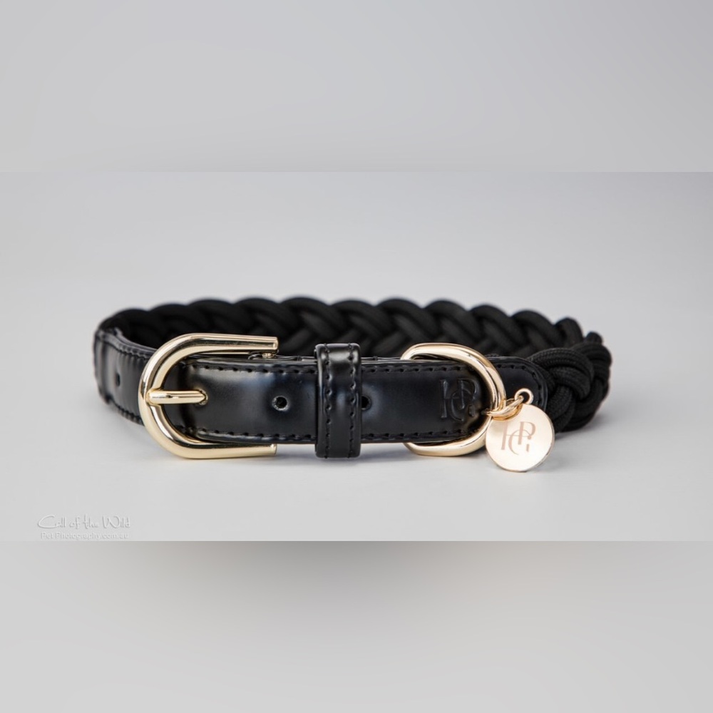 Black Braided Dog Collar | Gold Hardware & Leather Trim | Small